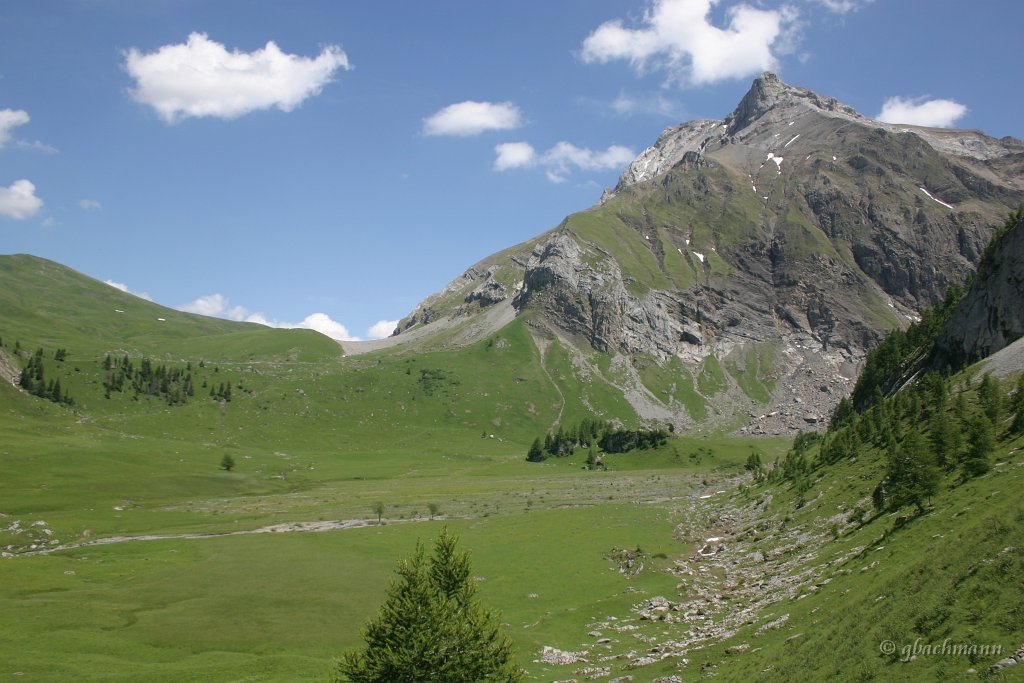 20050626_229